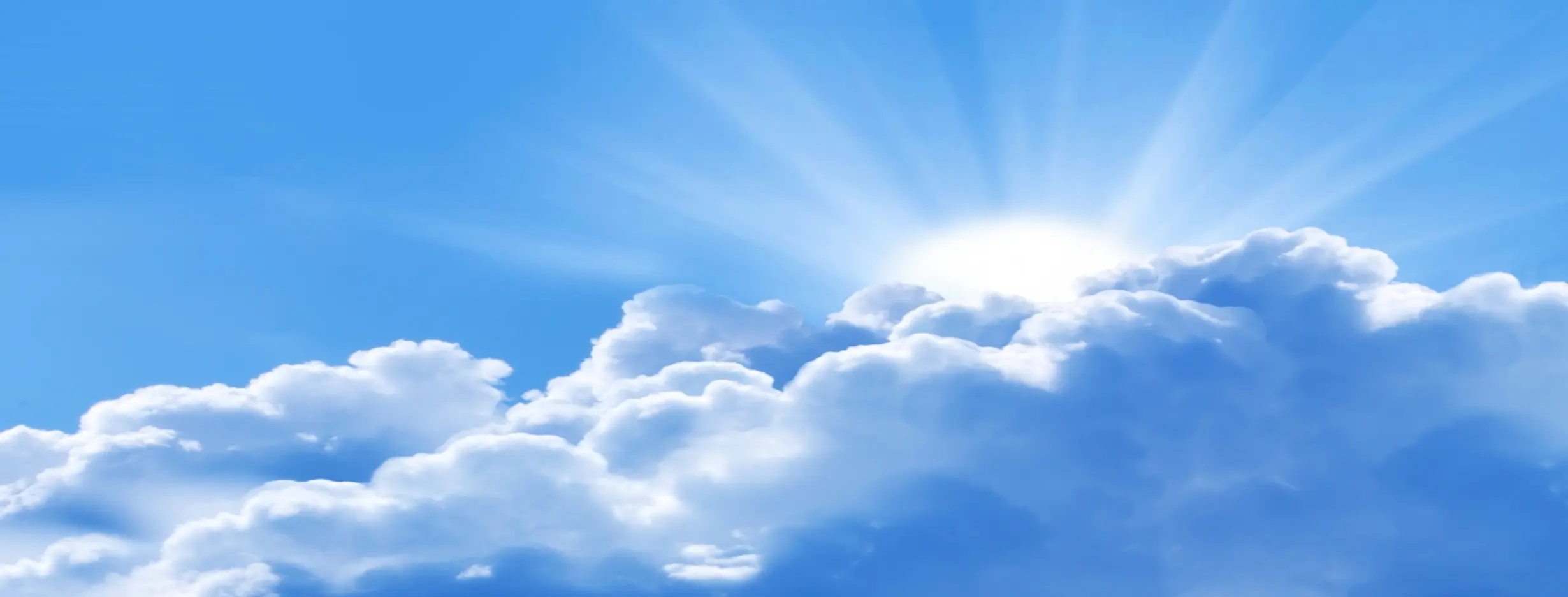 Image for Warm Climate